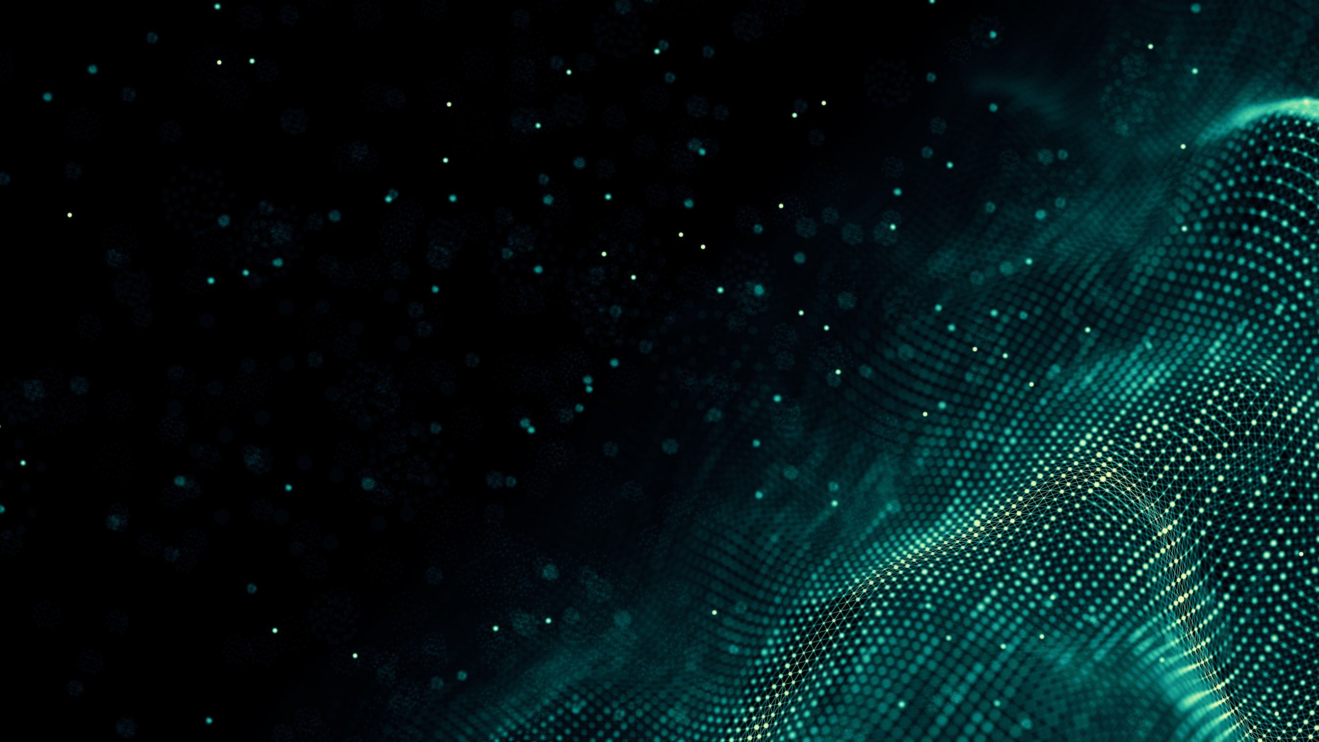 Case studies z wdrożeń AI